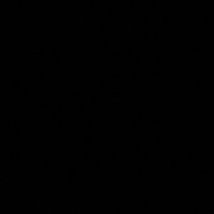 Meet your Posher, Jake